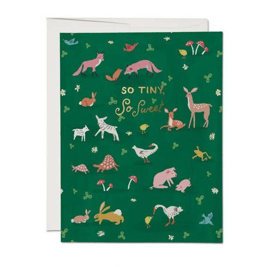 Tiny Animals Baby Greeting Card