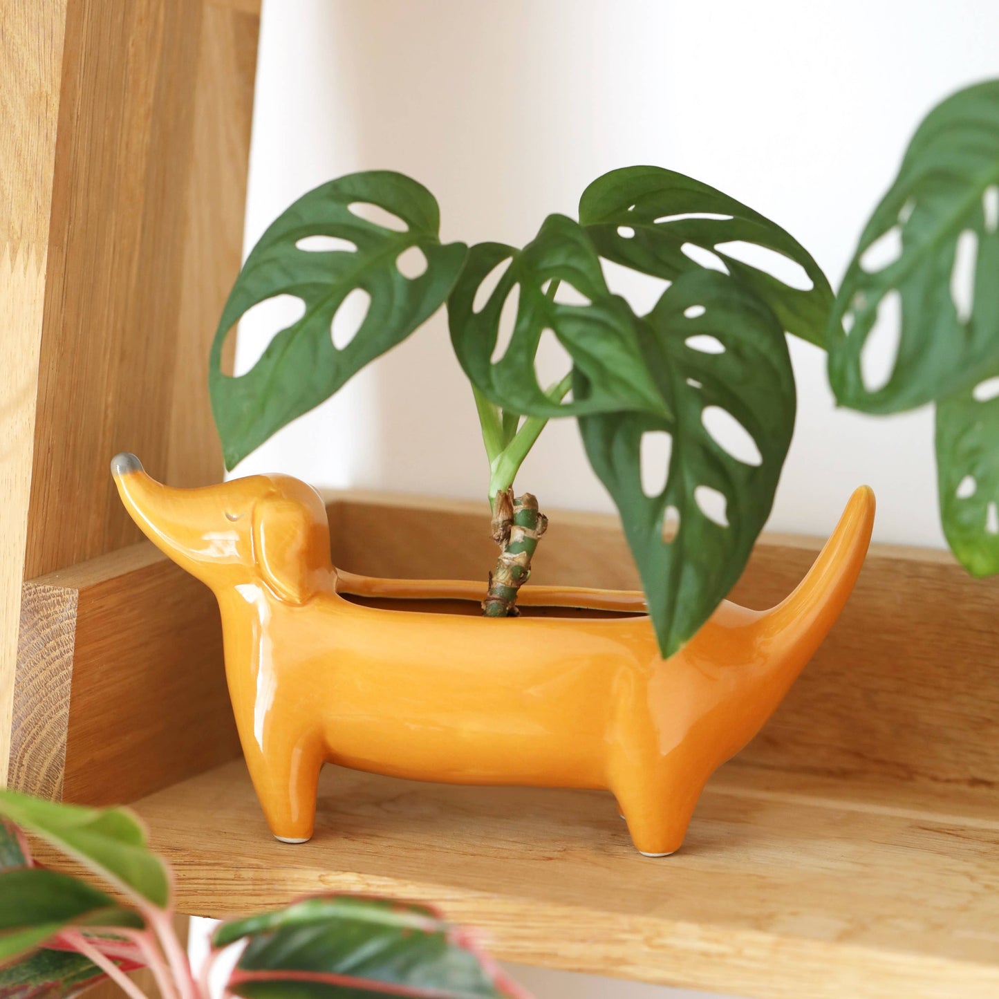 Orange Dachshund Standing Planter