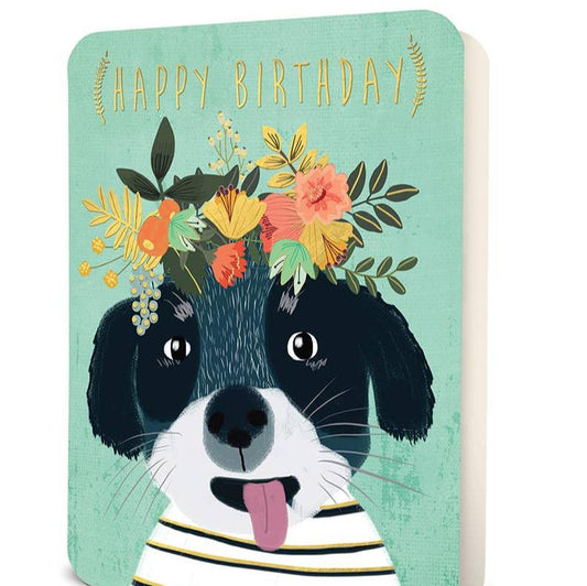 Happy Birthday Dog Greeting Card