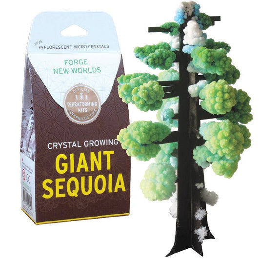 Crystal Growing Giant Sequoia Kit