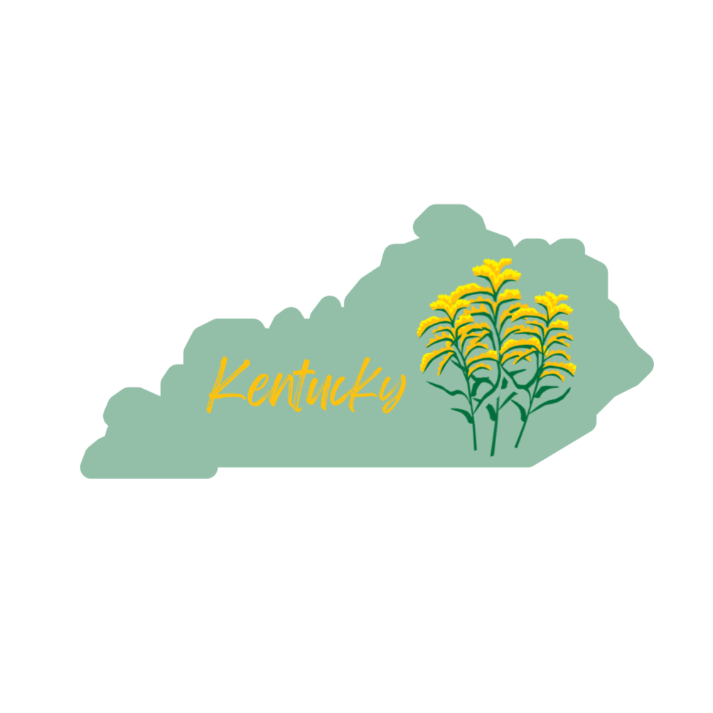 Kentucky Goldenrod Card